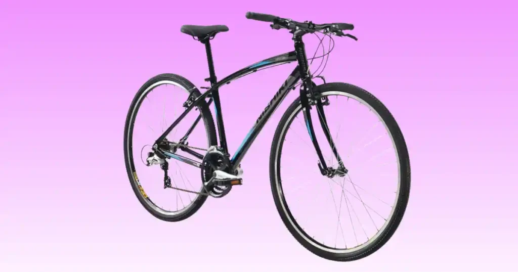 Nishiki Manitoba Hybrid Bike