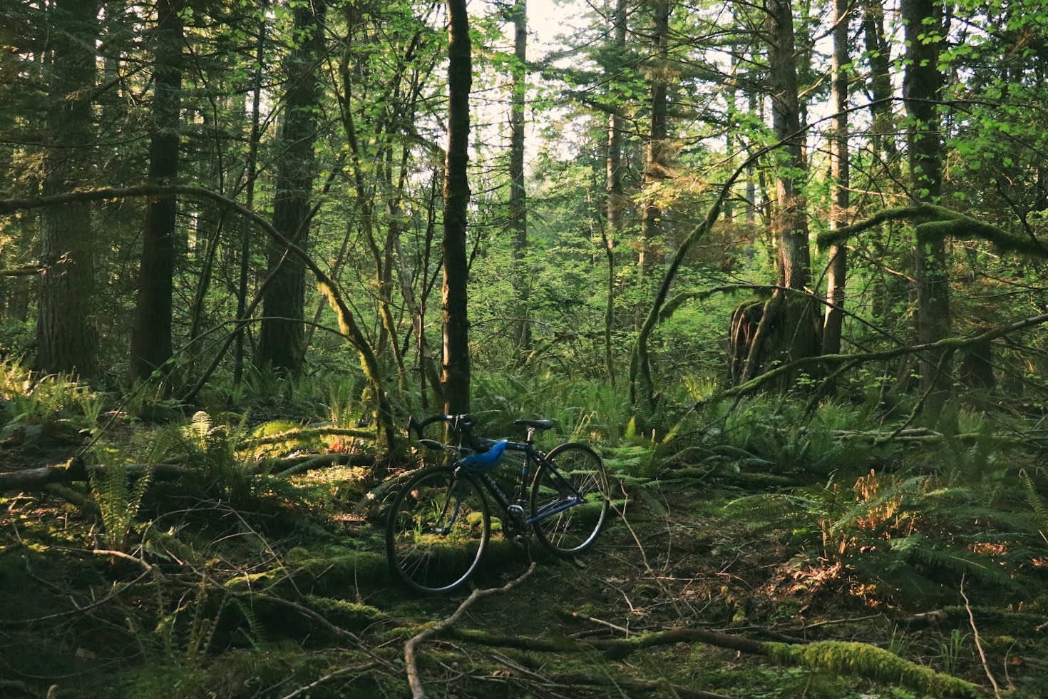 Scenic Routes for Road and Hybrid Cyclists