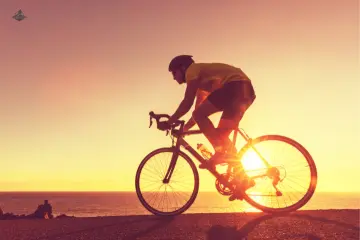 Which Graph Represents a Bike Traveling?