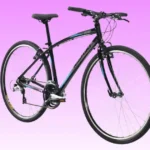 Nishiki Manitoba Hybrid Bike